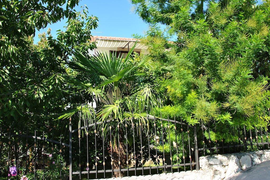 Apartment Zvonar Donji Okrug Exterior foto